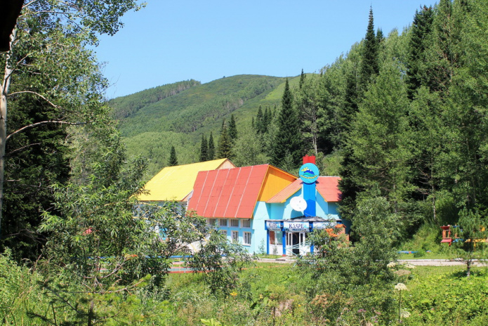 Пантолечение: время быть здоровым! - PR